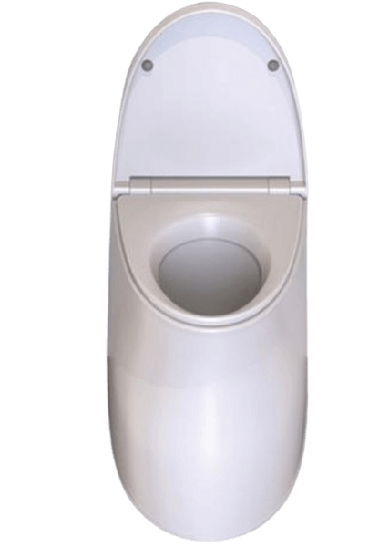 Belief incinerator toilet